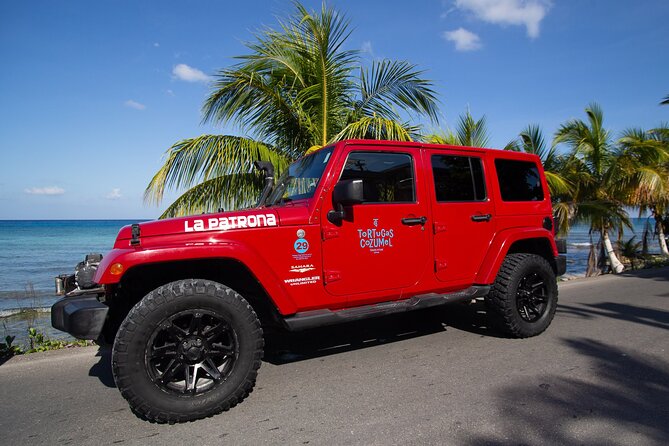 Super Cozumel Combo Snorkel by Boat and Jeep Exploration (Private) - Accessibility