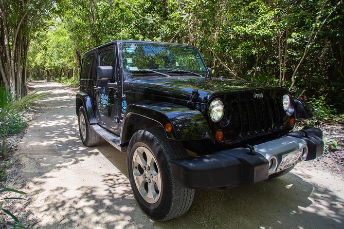 Super Cozumel Combo Snorkel by Boat and Jeep Exploration (Private) - Customer Feedback and Recommendations