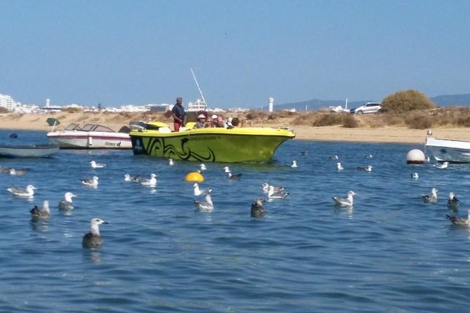 Super Day- Jeep Tour + Arade River Cruise - Physical Fitness Requirements