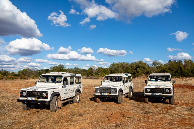 Super Day- Jeep Tour + Arade River Cruise - Glowing Customer Reviews