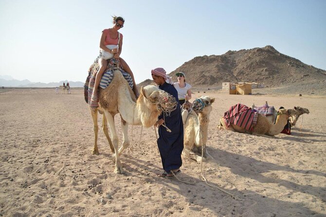 Super Safari 5in1quad Camel Ride Dinner African Nubian Show Star Gazing in Sharm - Logistics and Transfers