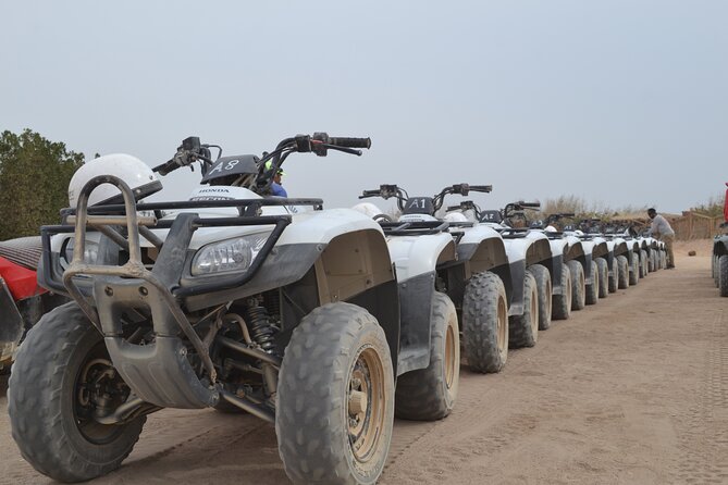 Super Safari ATV, Drive Buggy Car, Camel Ride, Bedouin Dinner, Show-Hurghada - Camel Ride and Dinner