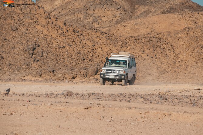 Super Safari ATV Quad Full Day and Jeep & Camel Ride & Dinner Party - Hurghada - Cancellation Policy