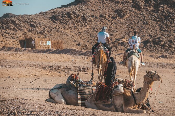 Super Safari ATV Quad Full Day and Jeep & Camel Ride & Dinner Party - Hurghada - Dinner, Beverages, and National Park Fees