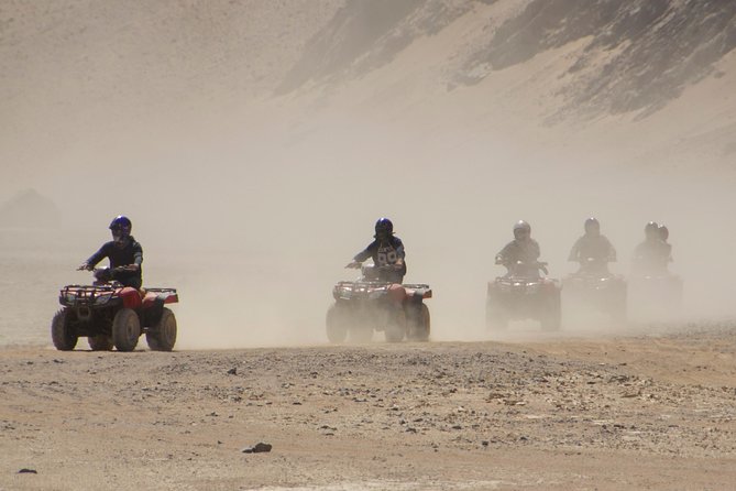 Super Safari By ATV Quad and Sunset, Camel Ride Bedouin Dinner - Marsa Allam - Hotel Pickup and Drop-off