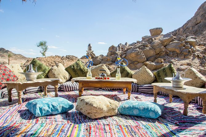 Super Safari By ATV Quad and Sunset, Camel Ride Bedouin Dinner - Marsa Allam - Governmental Safari Tax
