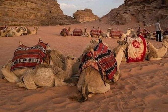Super Safari Hurghada - Booking and Pricing