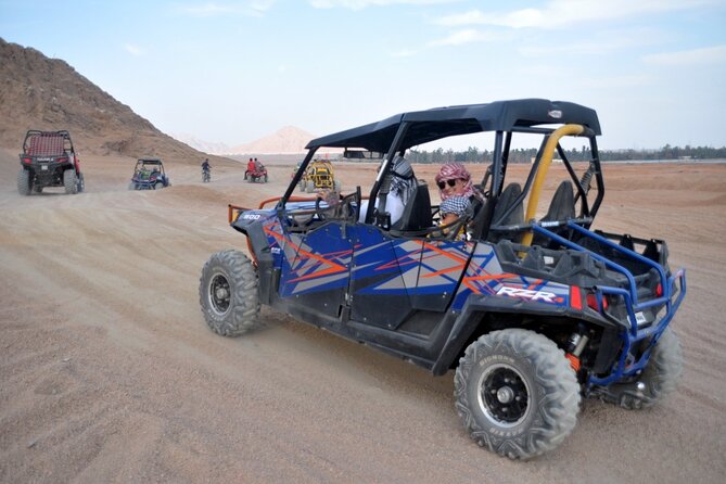 Super Safari in Sinai Desert Bedouin Dinner, Camel & Show - Guest Reviews