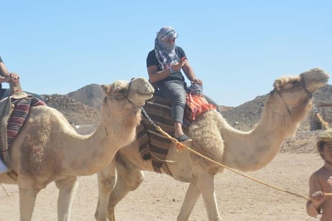 Super Safari: Jeep, Buggy, Quad With Lunch and Show in Hurghada - Cancellation Policy