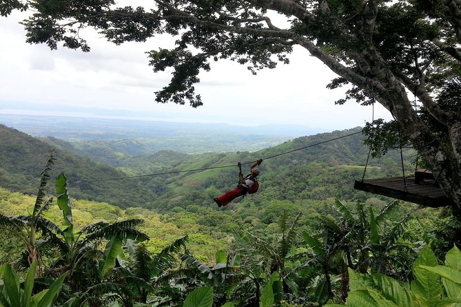 Superman Zipline Course - Reviews and Feedback