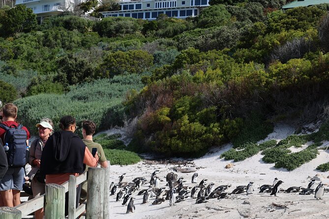 Supersaver: Cape of Good Hope and Cape Point Day Tour From Cape Town - Tour Size and Accessibility