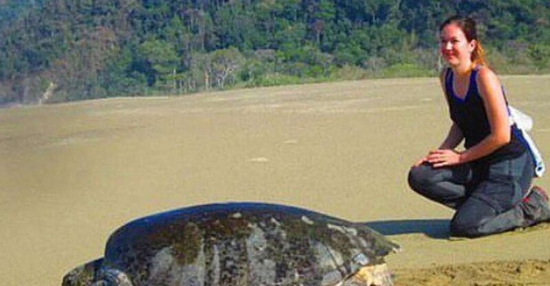 Surabaya : 4 Days Mt Bromo Ijen & Sukamade Turtle Drop Bali - Itinerary Highlights
