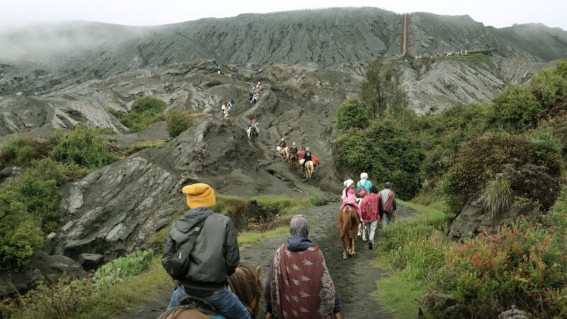 Surabaya / Malang: Bromo Afternoon Ultimate Tour - Customer Feedback