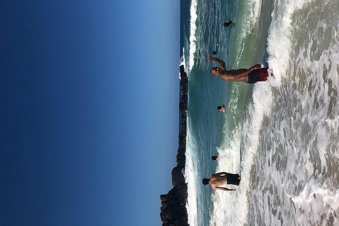 Surf and SeaTurtles Oahu Tour - Accessibility and Inclusions