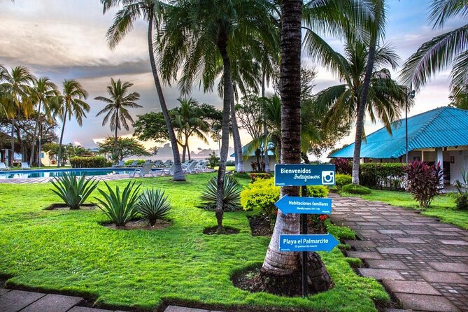 Surf City Half Day Tour : Malecon + Sunset Park + El Tunco Beach - Experiencing Surfing Culture