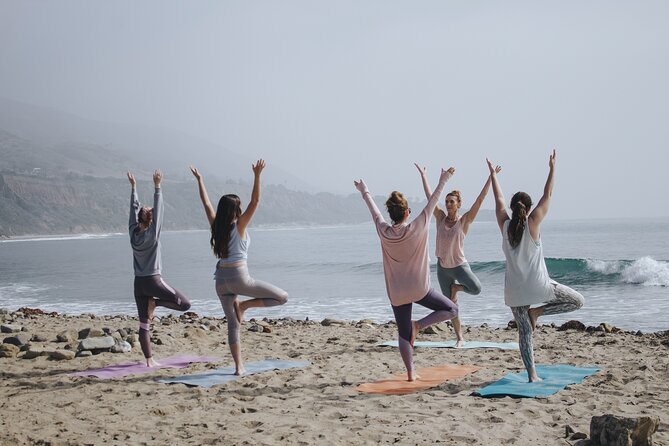 Surf Lessons for Beginners and Intermediate Surfers (6 People per Instructor) - Cancellation Policy