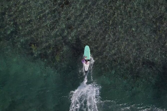 Surf Lessons Guadeloupe Beginners Intermediate Confirmed - Surfing Levels Accommodated