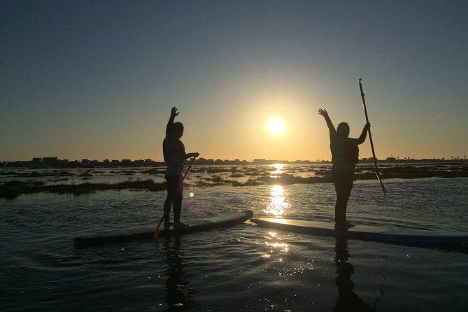 Surf & Sup - Overview of Surf & Sup Experience