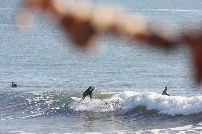 Surf Trip to the Best Spots of Essaouira Morocco - Included Experiences