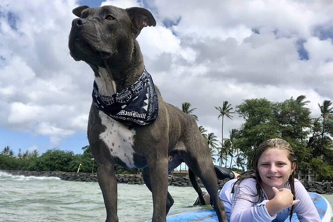 Surf With a Service Animal - Personalized Private Tour Experience