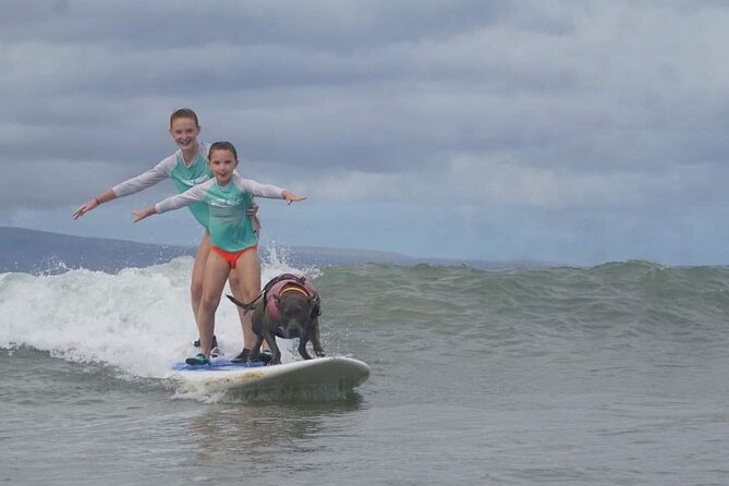 Surf With a Service Animal - Accessibility and Restrictions