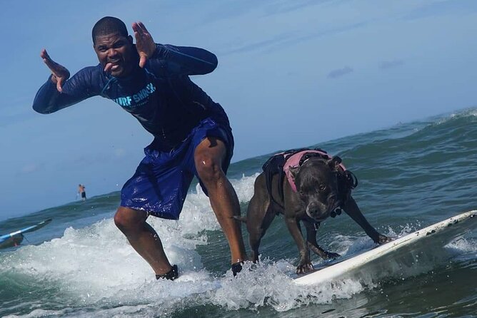Surf With a Service Animal - Confirmation and Booking Information