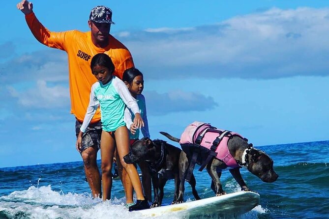 Surf With a Service Animal - Unique Surfing Experience