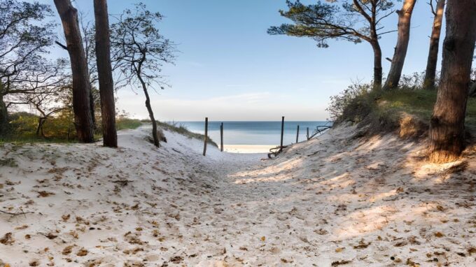 Surfboard Rental in Grzybów - Booking and Preparation Tips