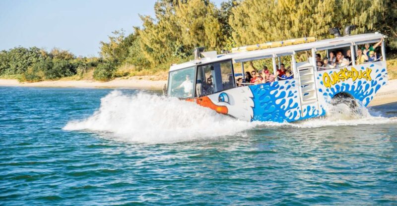 Surfers Paradise: Guided Gold Coast Amphibious Bus Tour - Key Points