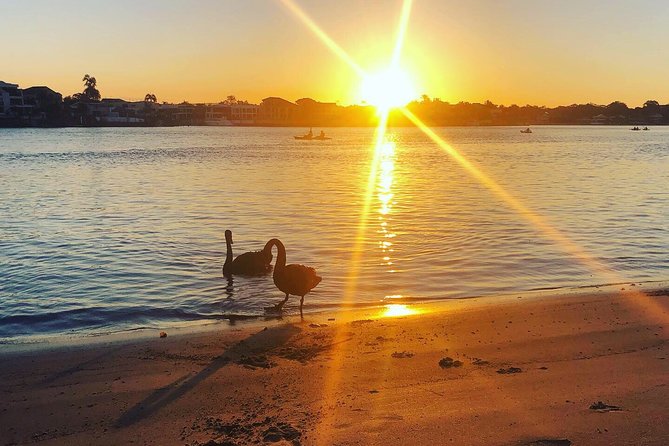 Surfers Paradise Sunset Kayak Tour - Participant Requirements