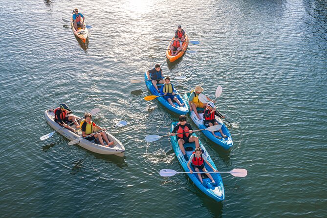 Surfers Paradise Sunset Kayak Tour - Customer Feedback