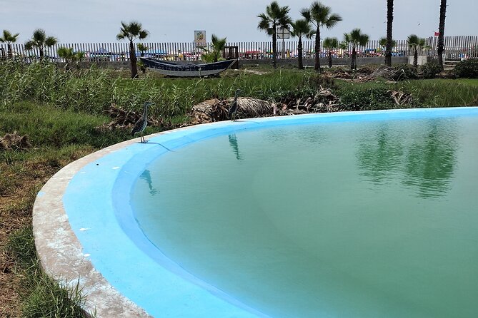 Surfing Adventure Gateway Cerro Azul - Traveler Reviews