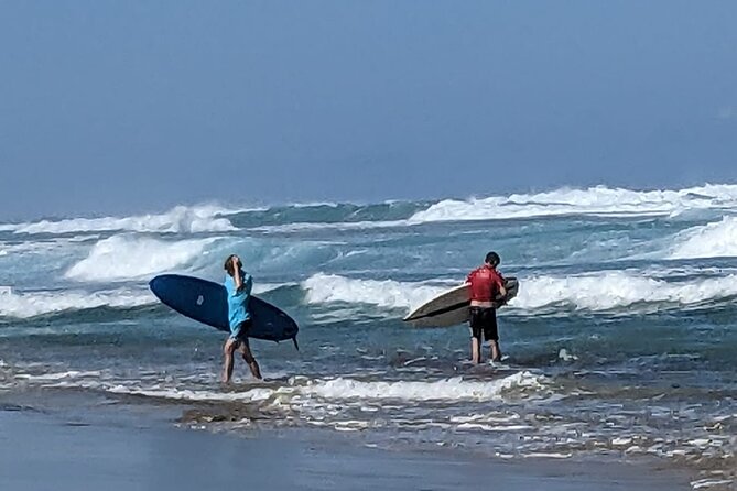 Surfing Experience in Cabarete Dominican Republic - Ratings and Reviews