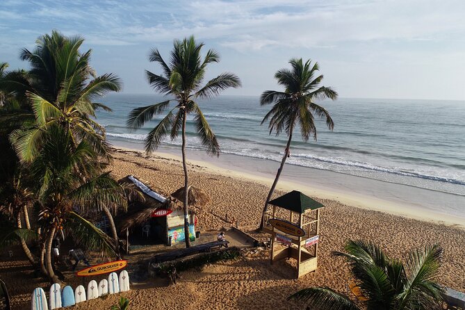 Surfing in Paradise, Macao Beach Punta Cana - Booking and Availability