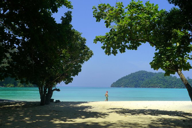 Surin Island Snorkeling by Speedboat From Khao Lak - Immerse in the Moken Culture