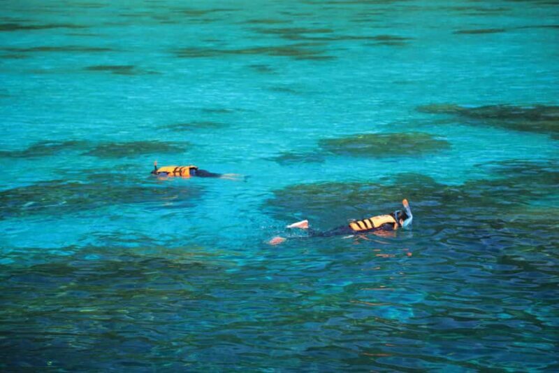 Surin Island - Snorkeling Tour - Key Points