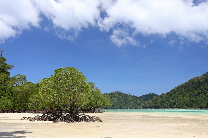 Surin Islands 2 Days 1 Night Trip From Khao Lak - Daily Itinerary