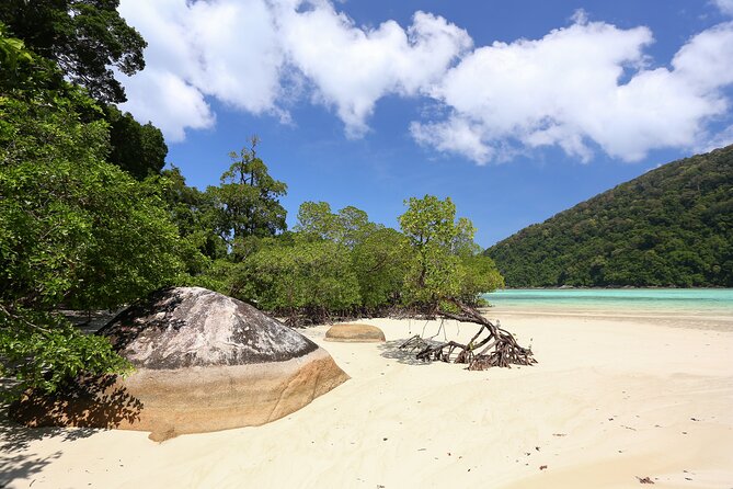Surin Islands 2 Days 1 Night Trip From Phuket - Customer Feedback