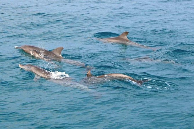 Surin Islands 3 Days 2 Nights Trip From Phuket - Dietary Considerations