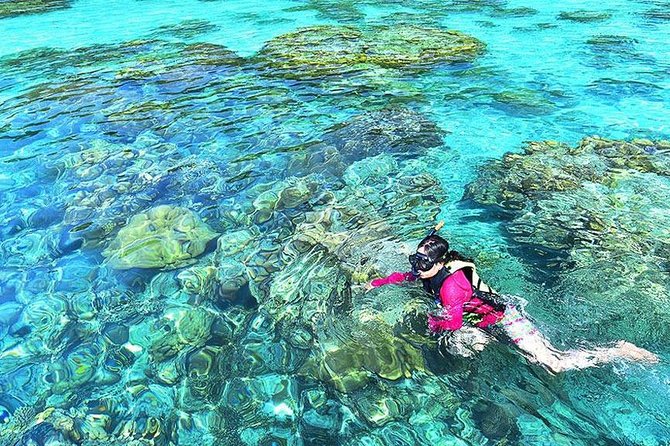Surin Islands Snorkeling Day Trip By Love Andaman From Khao Lak - Guest Reviews and Ratings