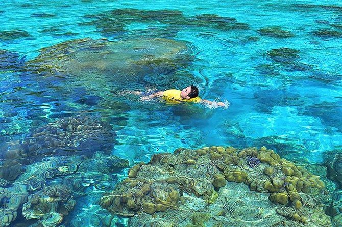 Surin Islands Snorkeling Day Trip By Love Andaman From Khao Lak - Tour Pricing and Cancellation Policy