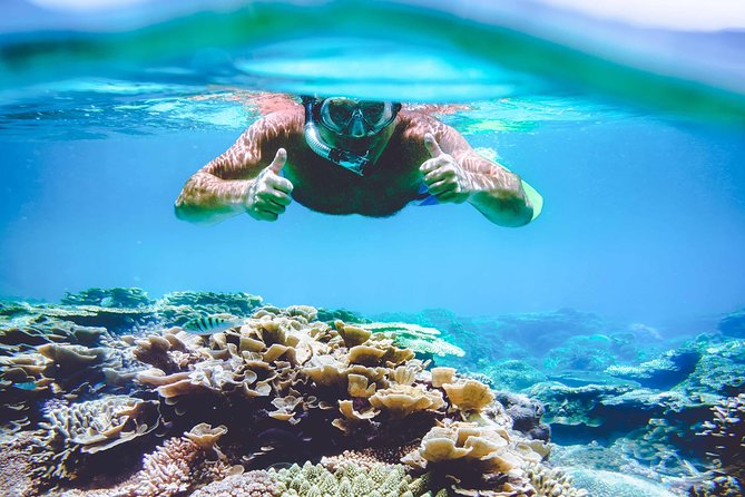 Surin Islands - the Snorkeling Experience From Phuket - Snorkeling in Crystal-Clear Waters
