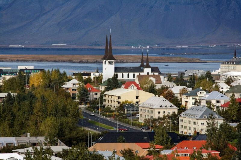 Surprise Tour of Reykjavik Guided by a Local - Key Points