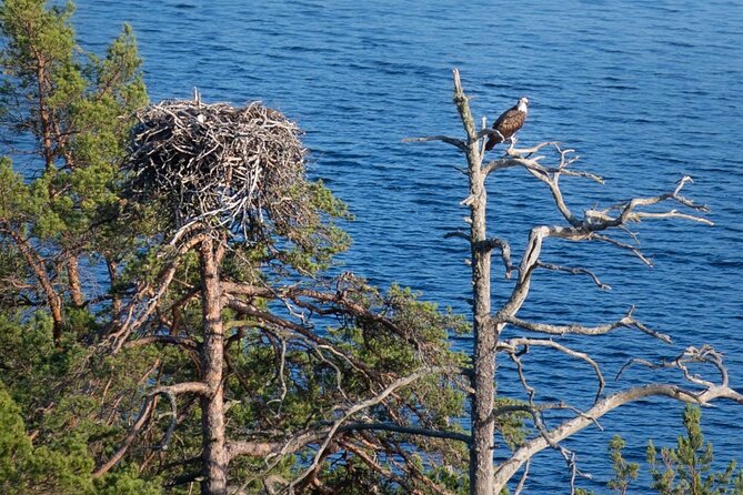 Survival Hike and Tour of Tyresta National Park - Included Equipment and Provisions