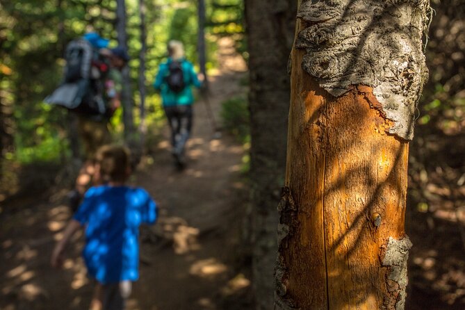 Survival Hike - Customer Reviews