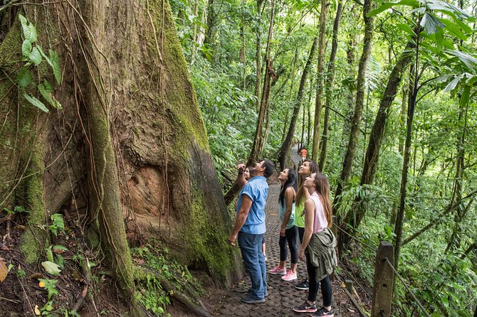 Suspension Bridges, Fortuna Waterfall, Typical Lunch - Spotting Local Wildlife