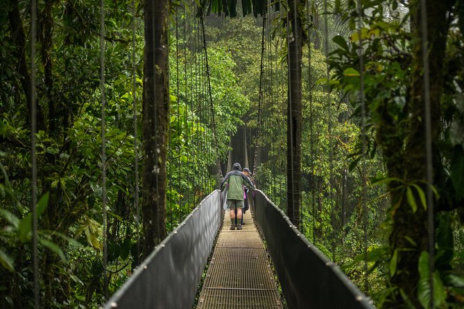Suspension Bridges, Fortuna Waterfall, Typical Lunch - Key Points
