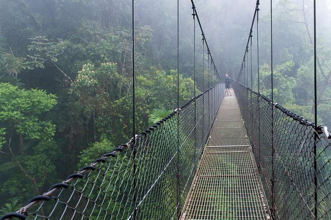 Suspension Bridges, Fortuna Waterfall, Typical Lunch - Spotting Local Wildlife