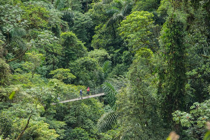 Suspension Bridges, Fortuna Waterfall, Typical Lunch - Exploring the Suspension Bridges