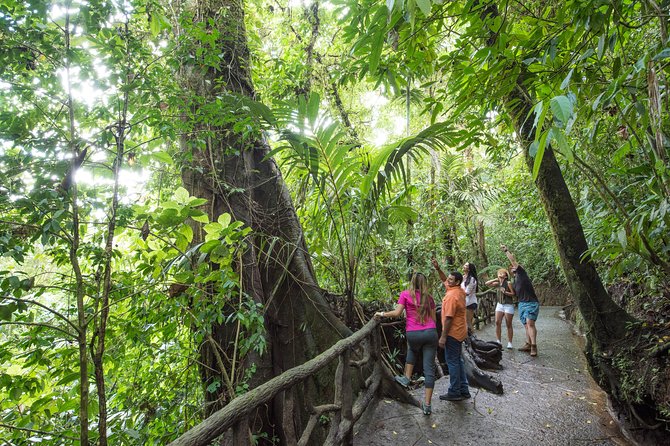 Suspension Bridges, Fortuna Waterfall, Typical Lunch - Taking in the Rainforest